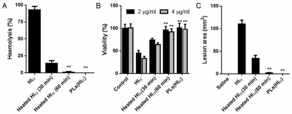 Bacterial toxin vaccine and application thereof in preventing bacterial infection