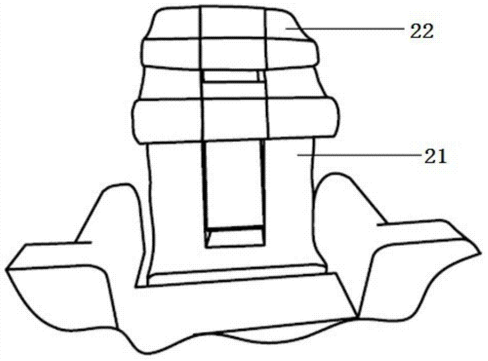 Complete equipment and detection method for rapidly detecting meat product safety on site