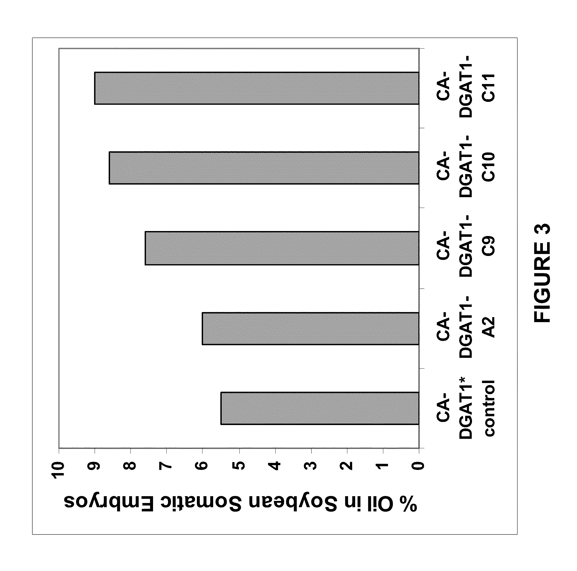 DGAT genes for increased seed storage lipid production and altered fatty acid profiles in oilseed plants