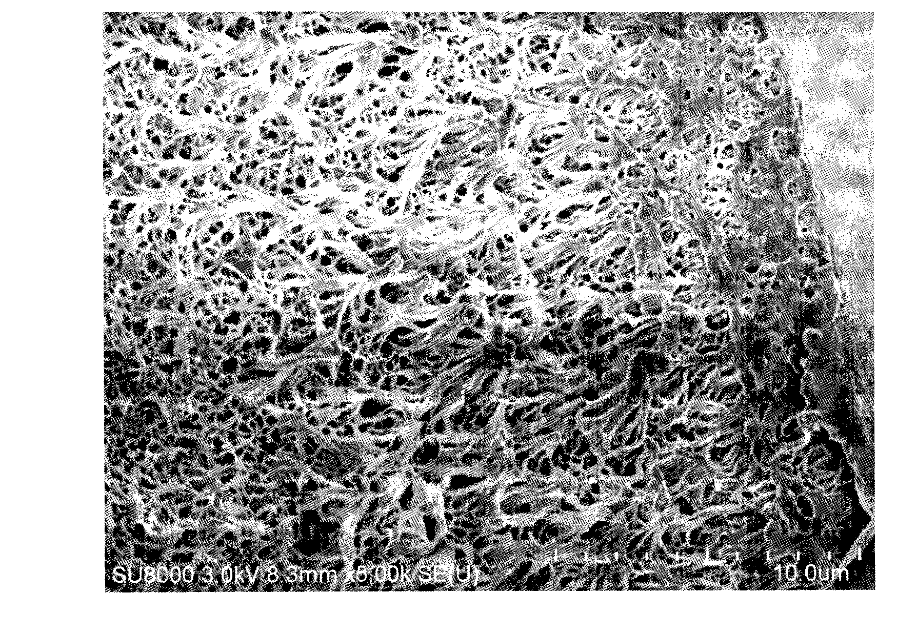 Method for preparing amphiphilic block copolymer modified polyvinylidene fluoride hollow fiber membrane