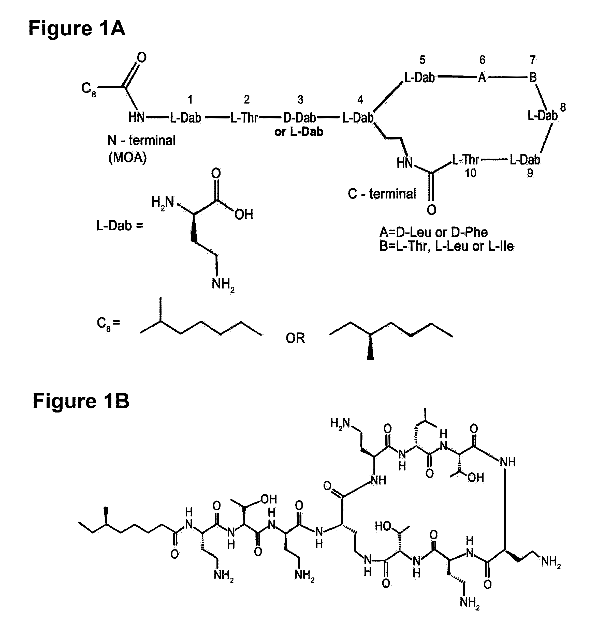 Polymyxin synthetase and gene cluster thereof