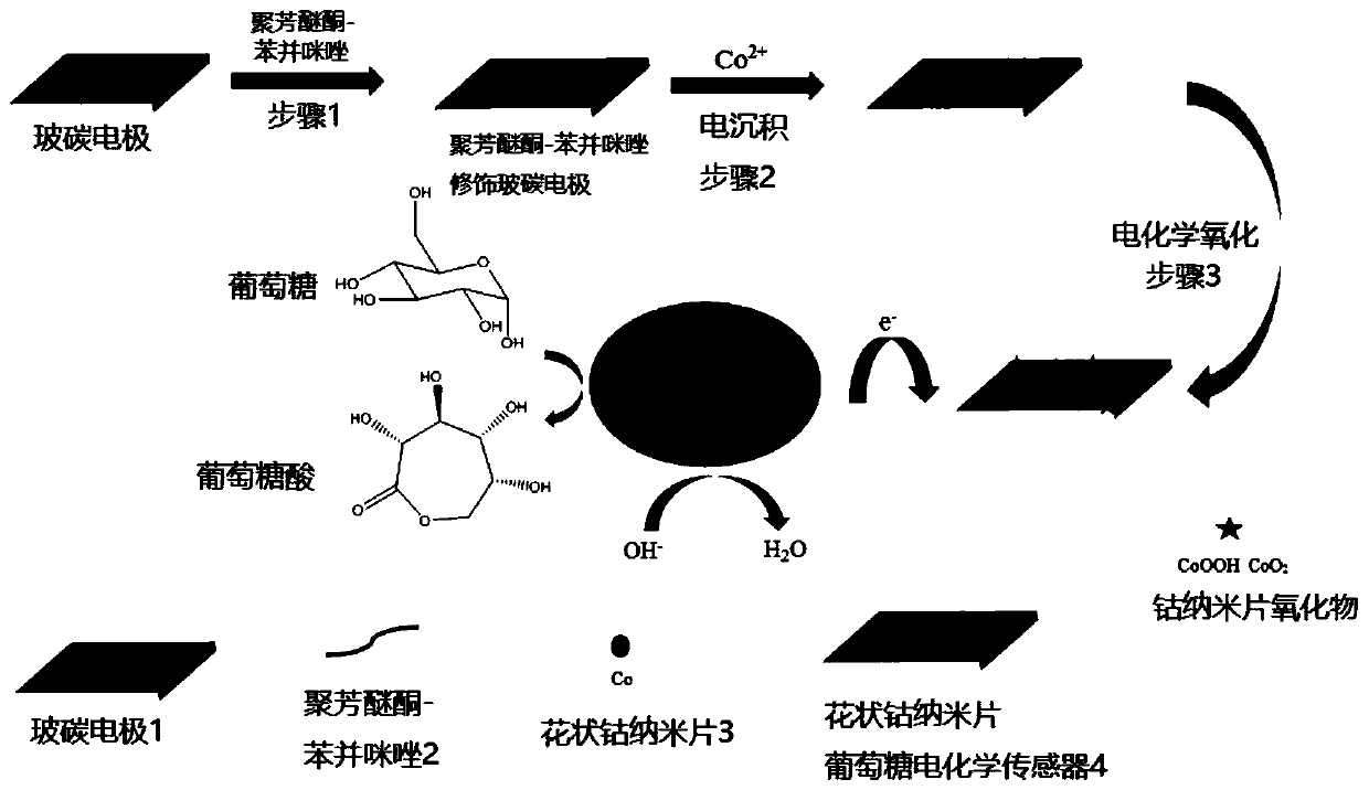 A three-dimensional flower-shaped cobalt nanosheet glucose electrochemical sensor and its preparation method