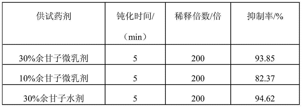 Plant source antiviral agent containing phyllanthi fructus and preparation method thereof