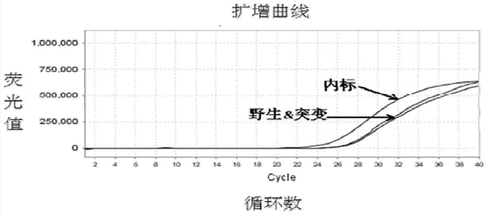 Human SLCO1B1 and ApoE (apolipoprotein E) gene polymorphism detection kit