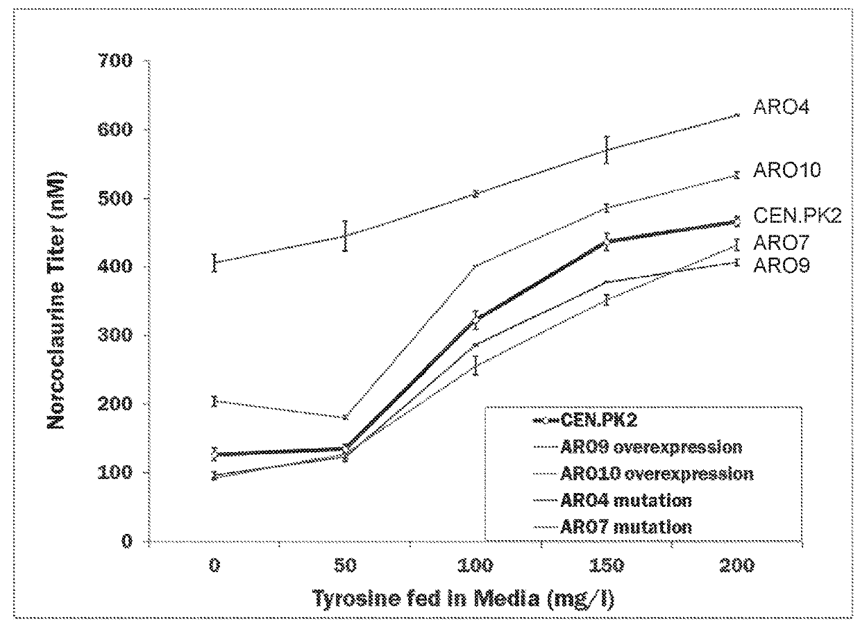 Benzylisoquinoline alkaloid (BIA) precursor producing microbes, and methods of making and using the same