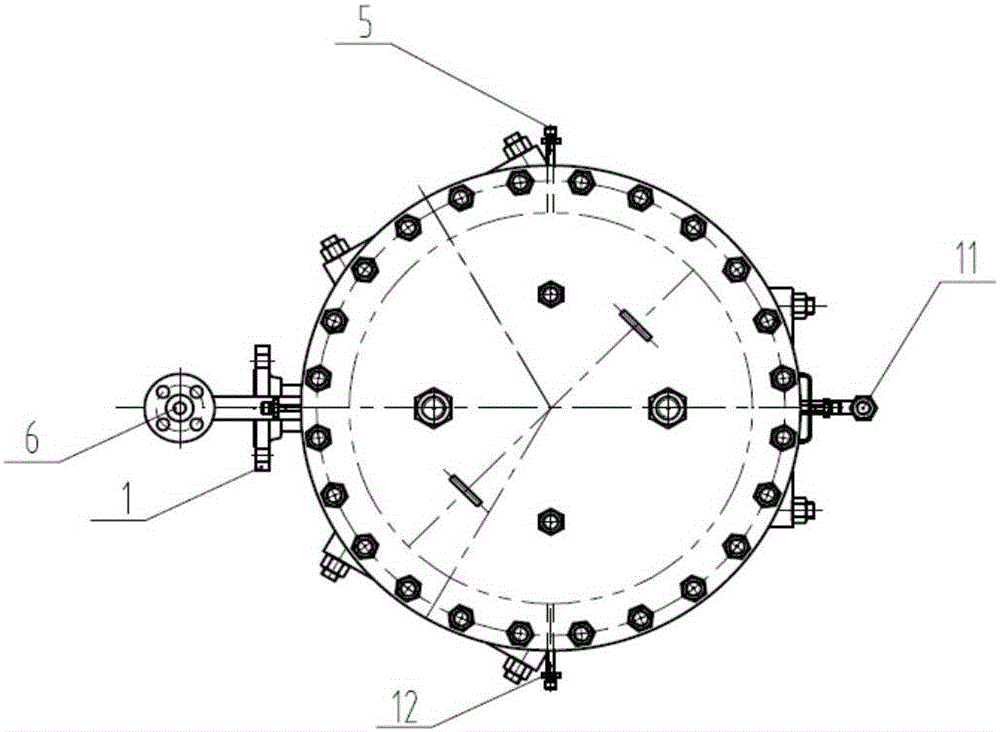 Visual back pressure spray test device used for optical measurement and method thereof