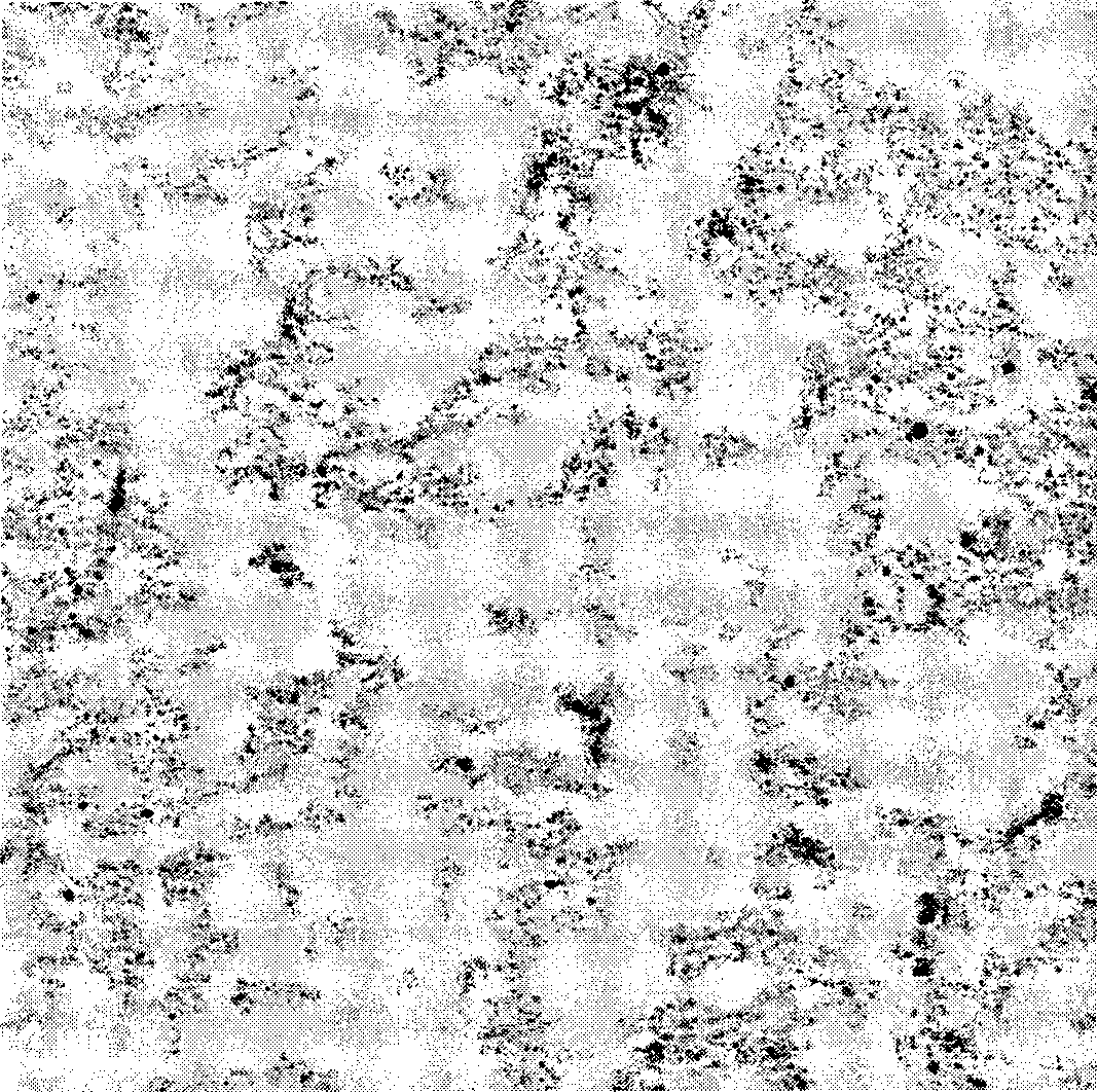 Emulsion polymerizing preparation method of polyethylene/silicon dioxide core-shell structure composite material