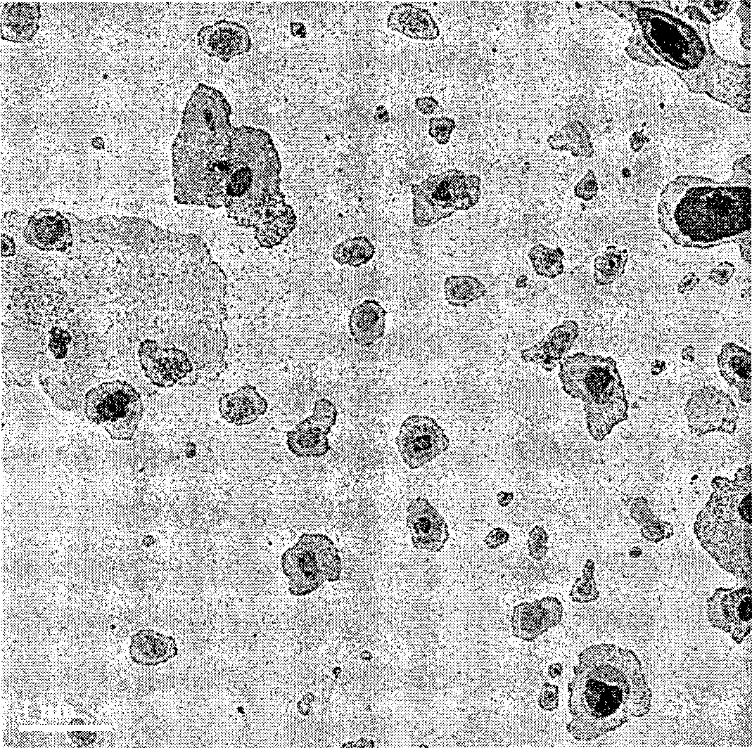 Emulsion polymerizing preparation method of polyethylene/silicon dioxide core-shell structure composite material