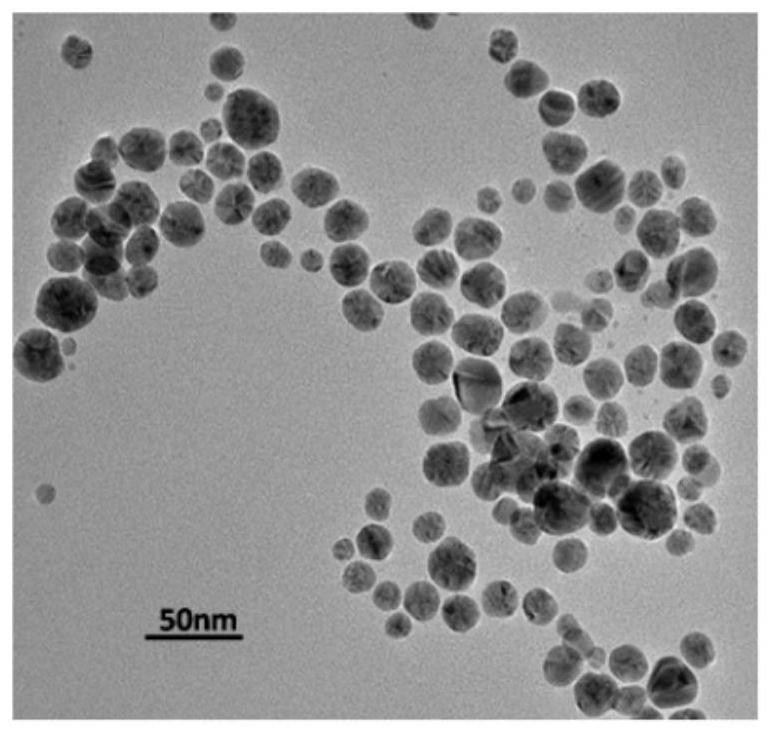 A kind of sol preparation method and its application of green rapid detection sulfur ion