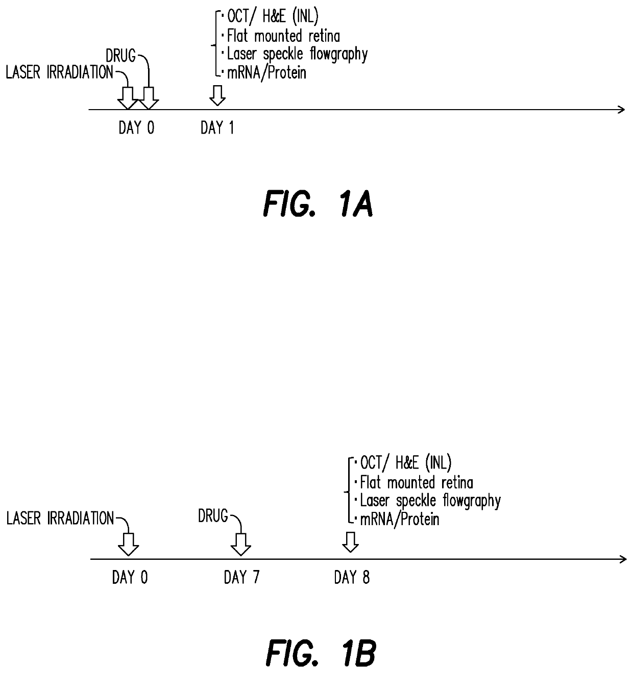 Anti-sema3a antibodies and their uses for treating a thrombotic disease of the retina