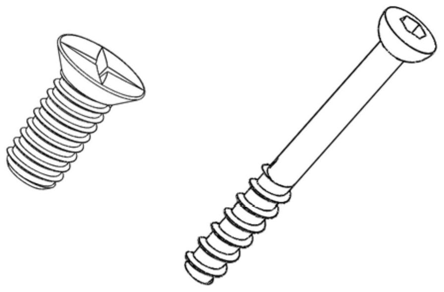 A kind of spider silk protein bone nail and preparation method thereof