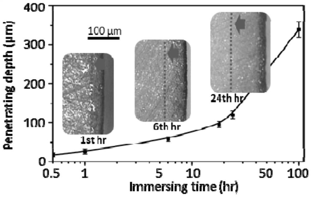 A kind of spider silk protein bone nail and preparation method thereof