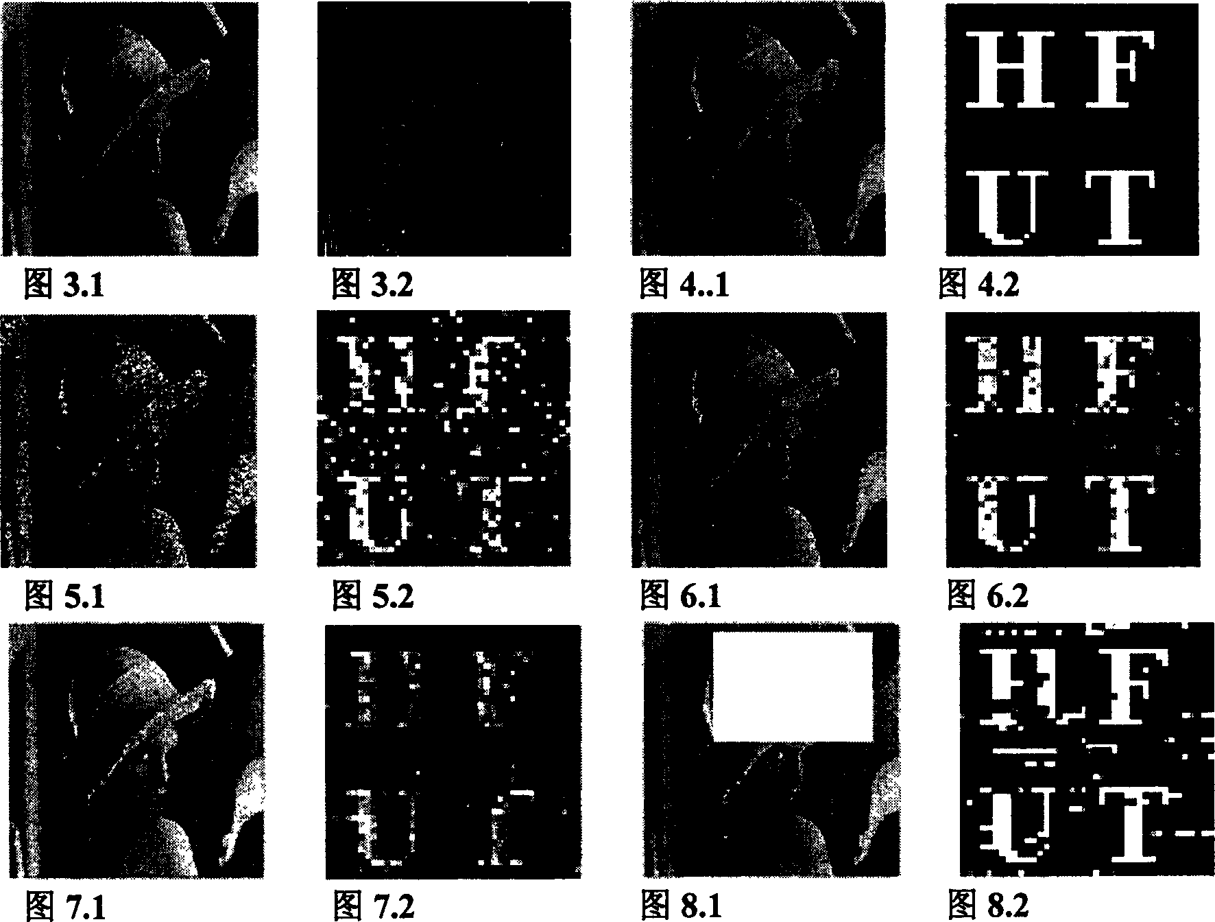 Image waterprint method for copyright protection