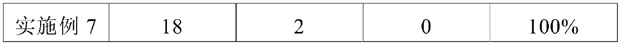 Conventional Chinese medicine plaster for treating amblyopia and myopia and preparation method thereof