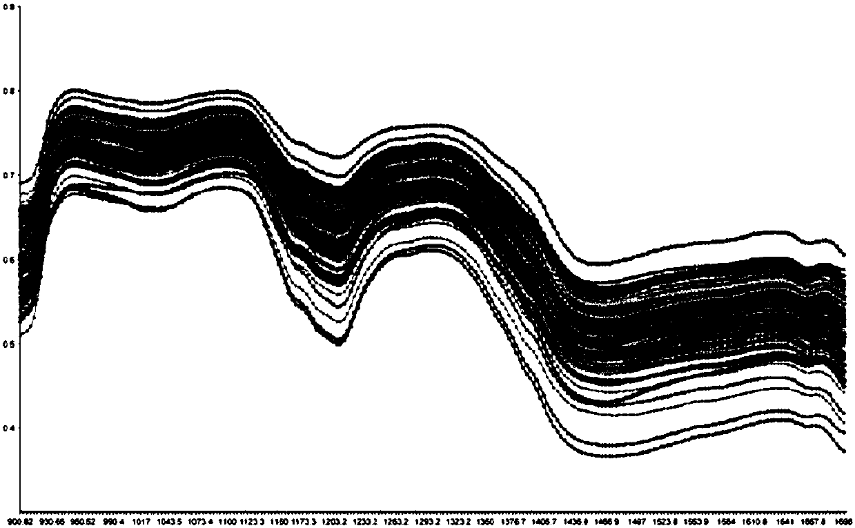 Method for detection of protein content distribution in peanut based on hyperspectral imaging technology