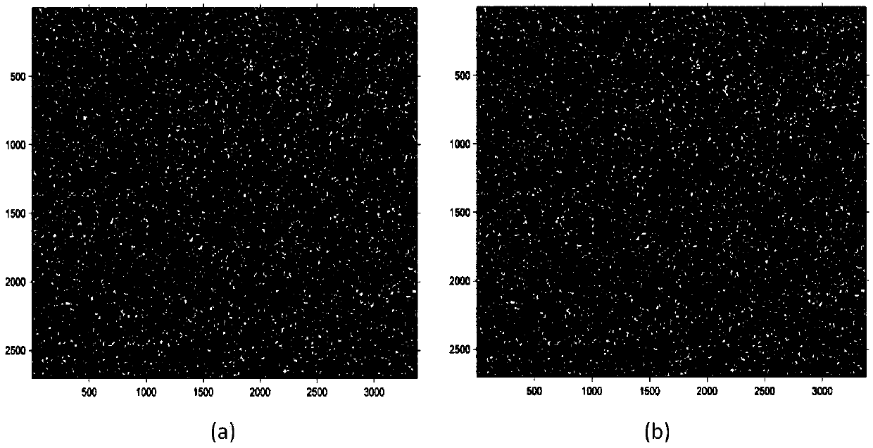 Speckle manufacturing method based on transfer print technology