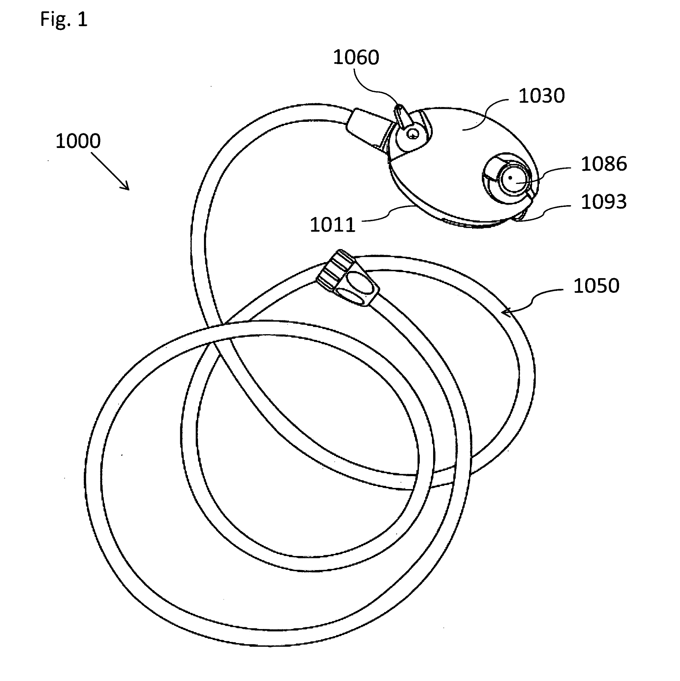 Direct application brush having flow regulator assembly