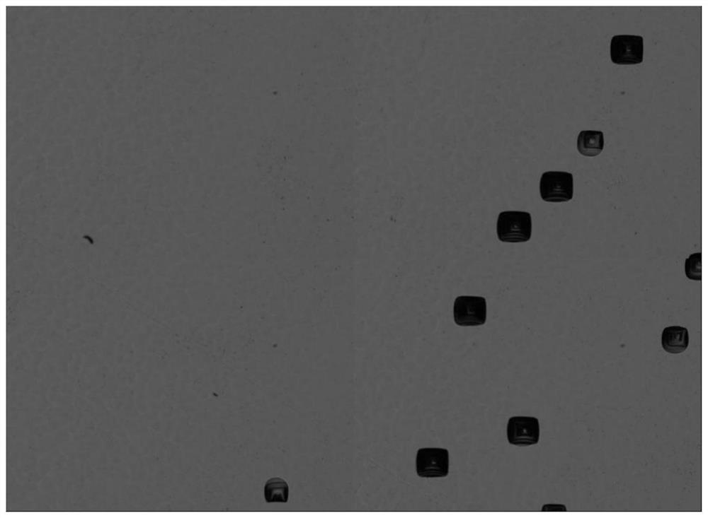 A kind of method for growing indium phosphide single crystal by vgf method