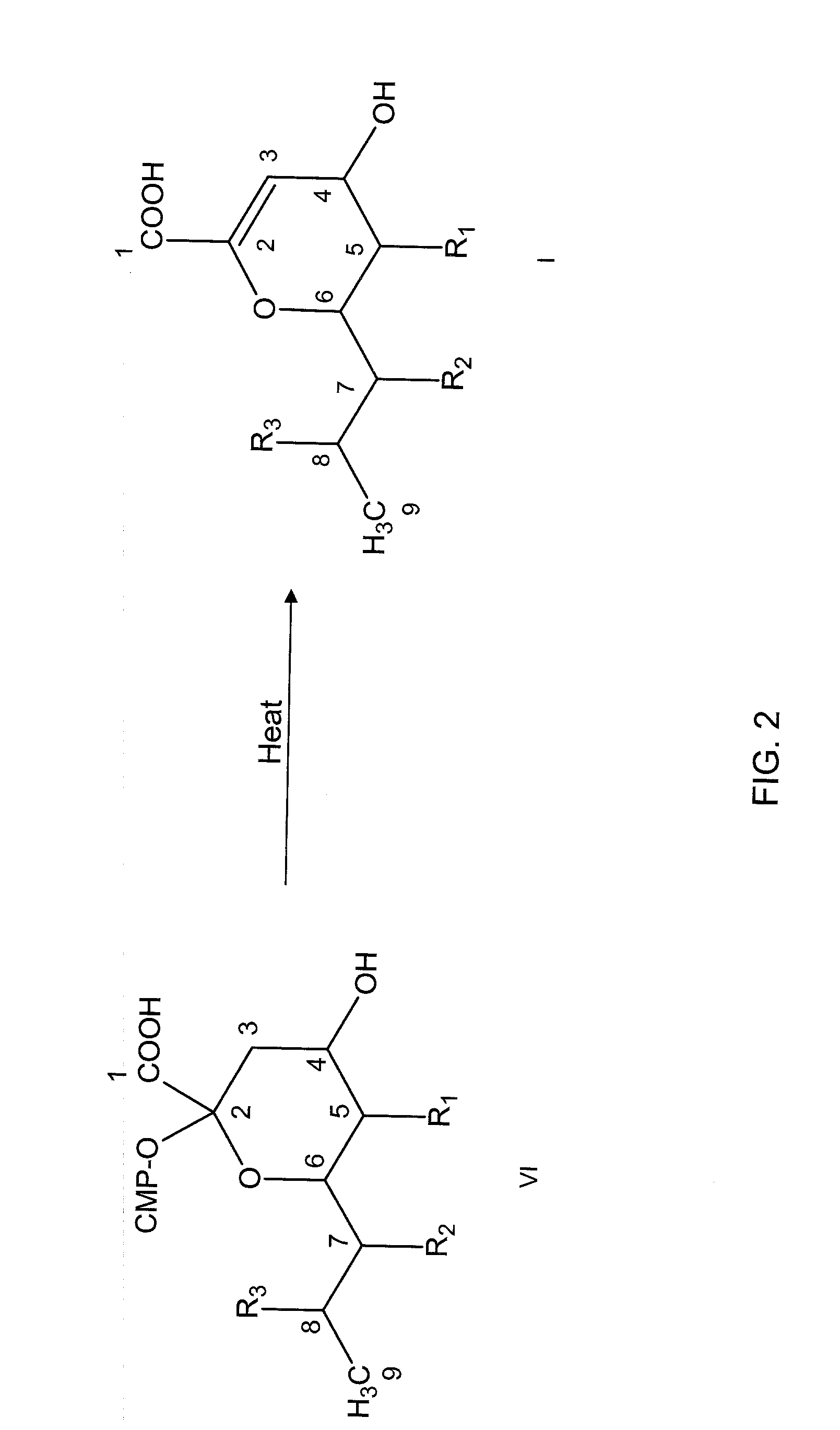 Inhibitors of sialidase or sialidase-like enzymes