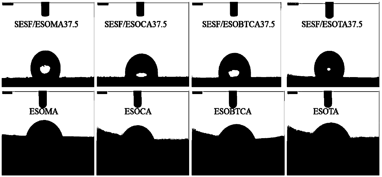 Biodegradable composite material and its preparation method and application