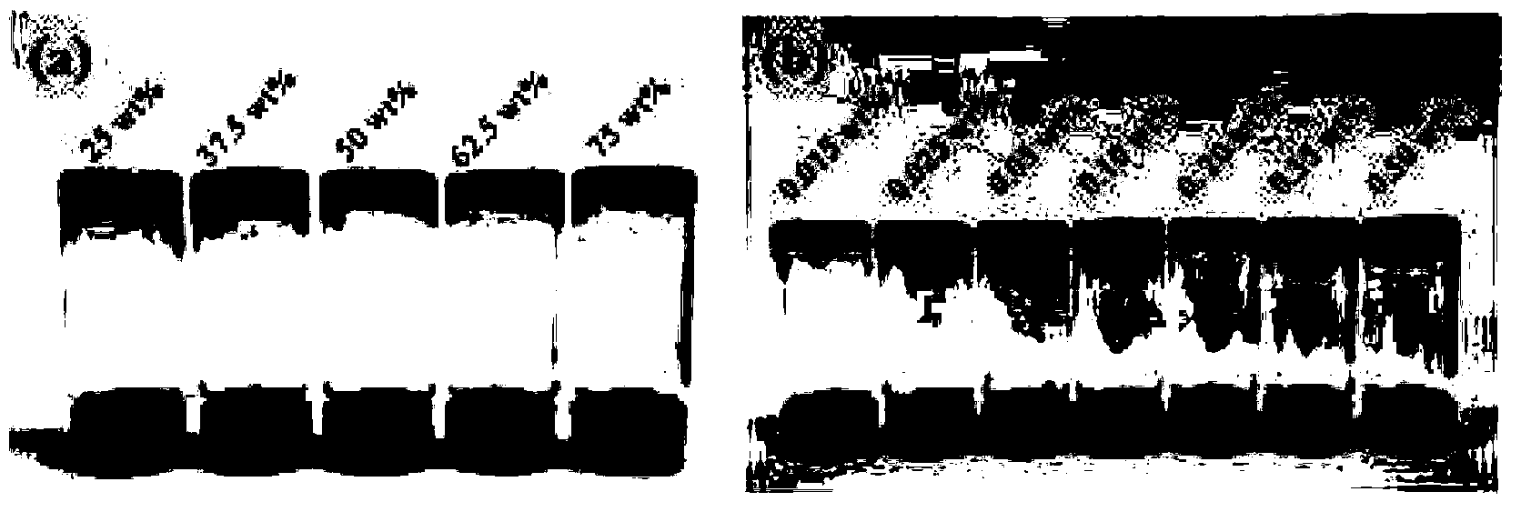 Multi-component super-molecular hydrogel and preparation method thereof