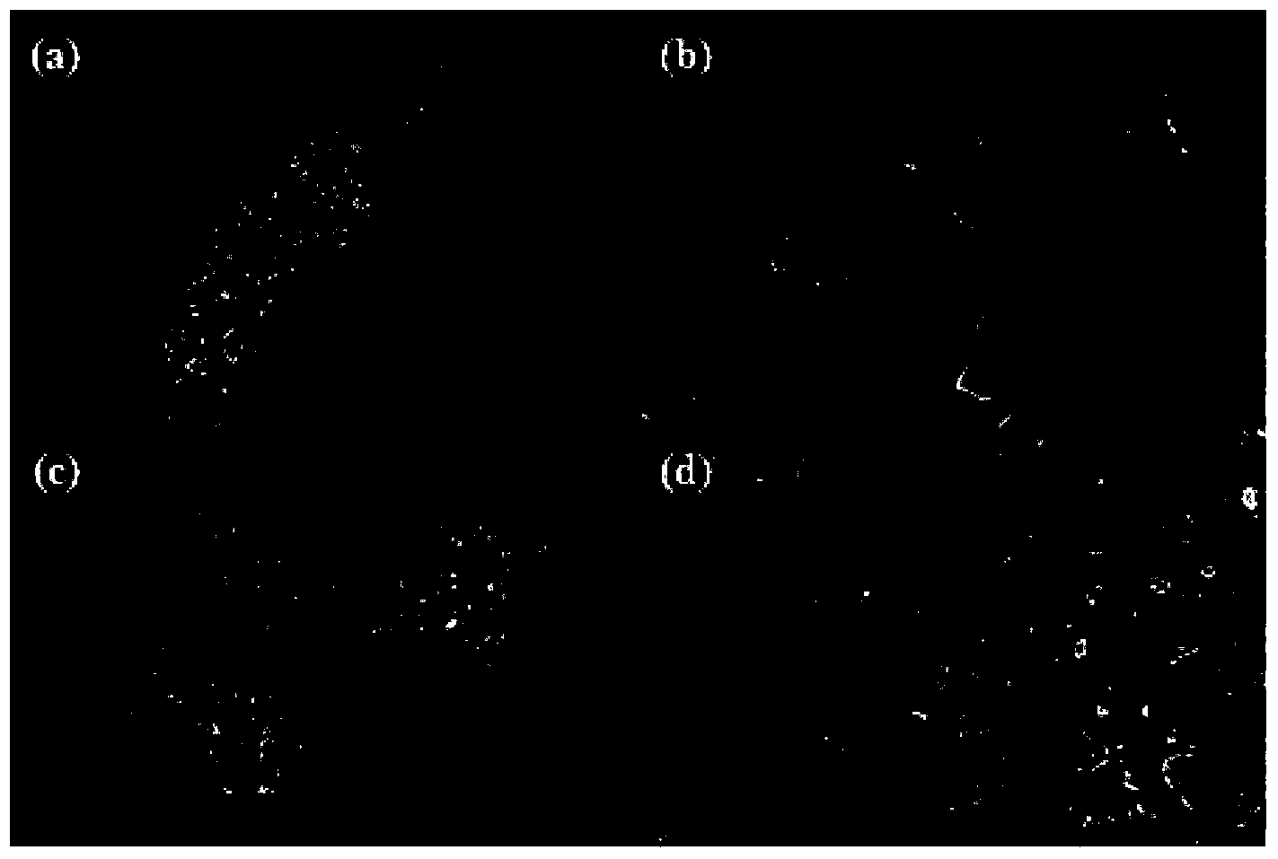 Multi-component super-molecular hydrogel and preparation method thereof