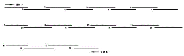 Pro-urokinase gene mutant and preparation method thereof