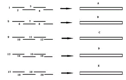 Pro-urokinase gene mutant and preparation method thereof