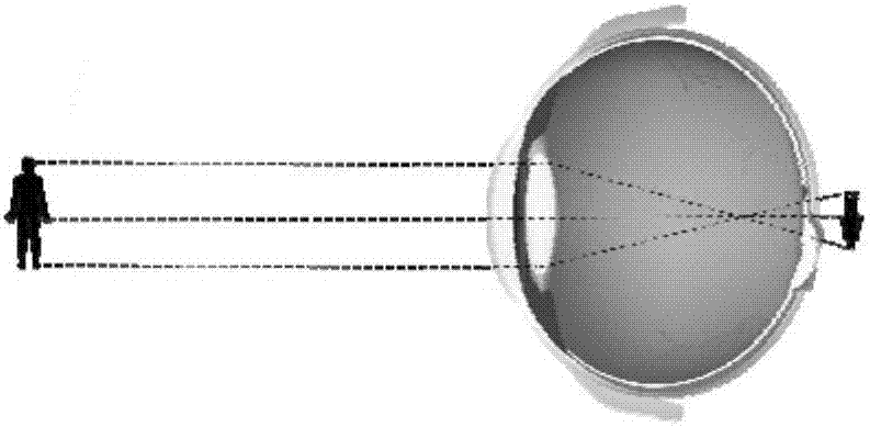 Eyesight protection method and device and VR glasses with a function of protecting eyesight