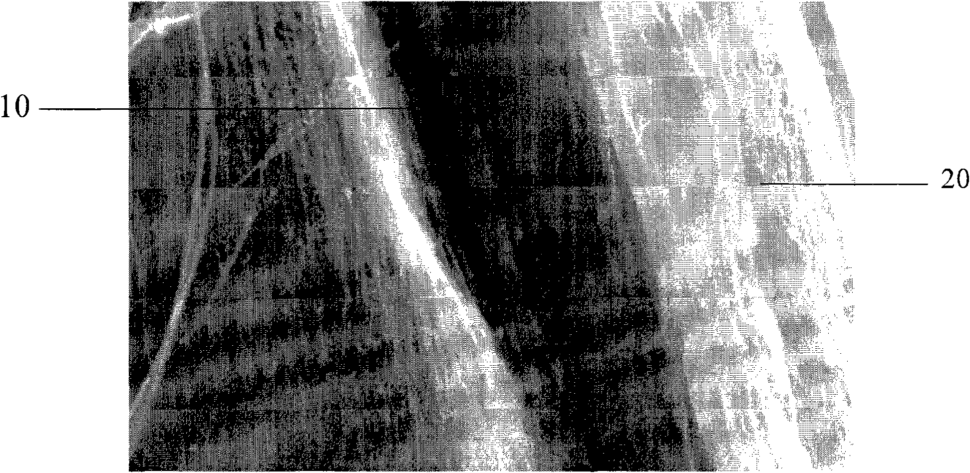 Metal plating method for carbon nanotubes