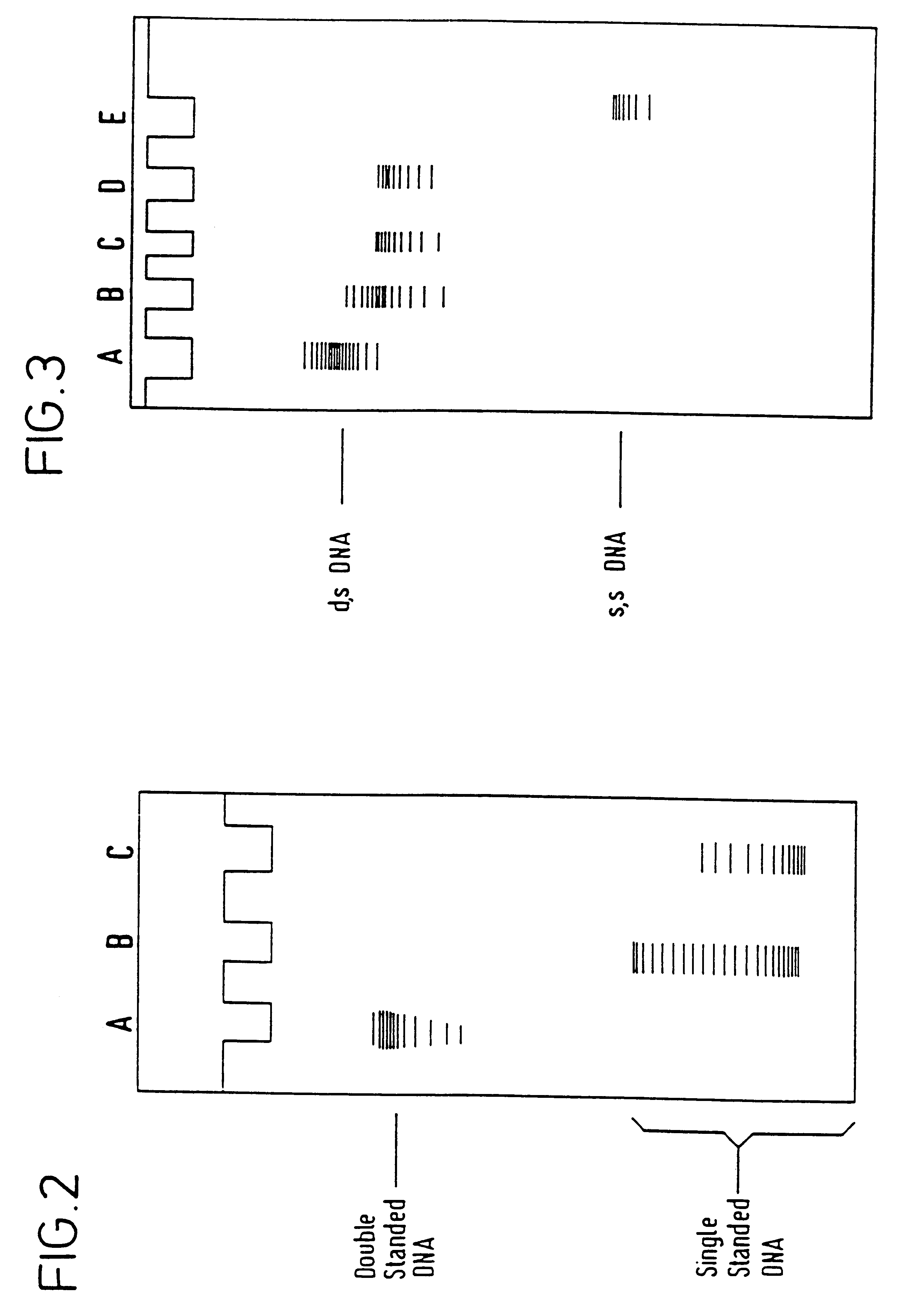 Electrochemical denaturation and annealing of nucleic acid