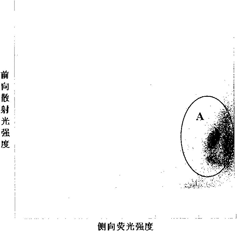 Nucleated red blood cell simulation particle and blood quality control substance and preparation methods and application thereof