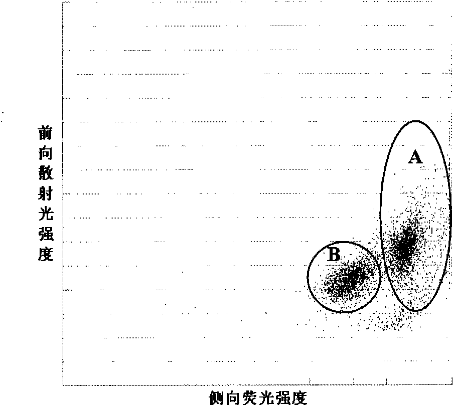 Nucleated red blood cell simulation particle and blood quality control substance and preparation methods and application thereof