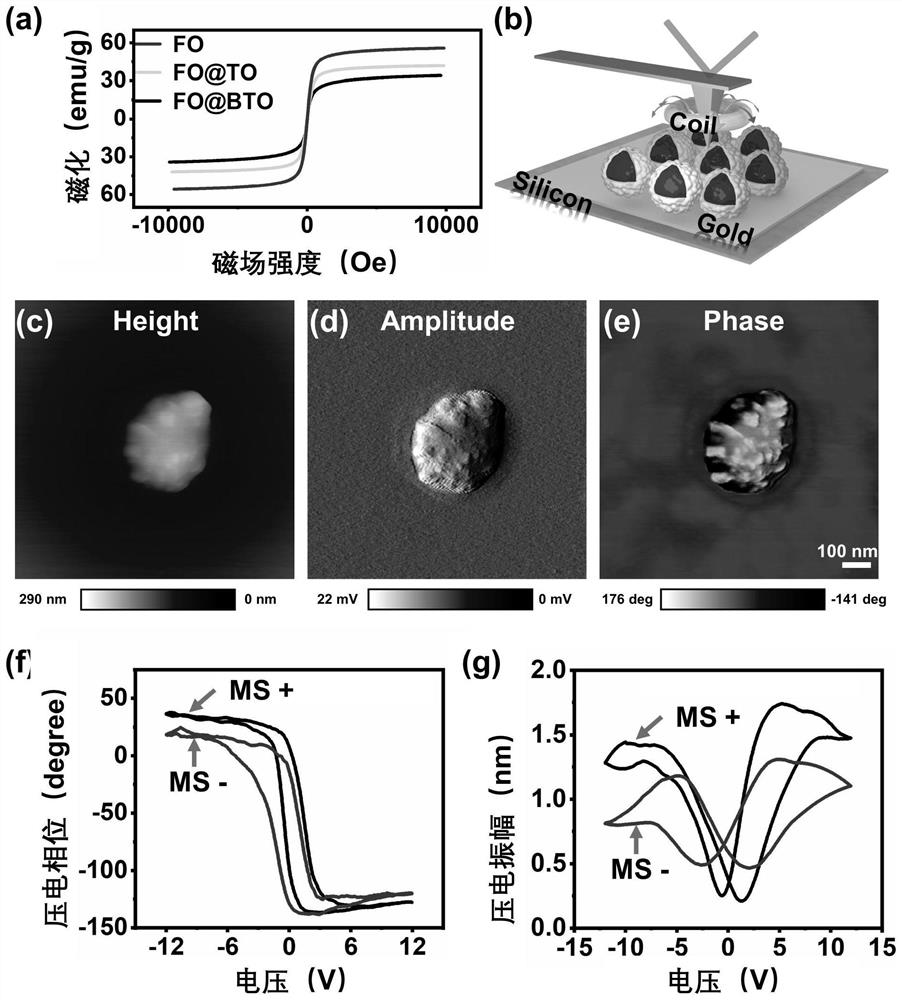 Magnetoelectric response biomimetic hydrogel and adjustable cell electrical microenvironment magnetoelectric response biomimetic hydrogel and preparation method thereof