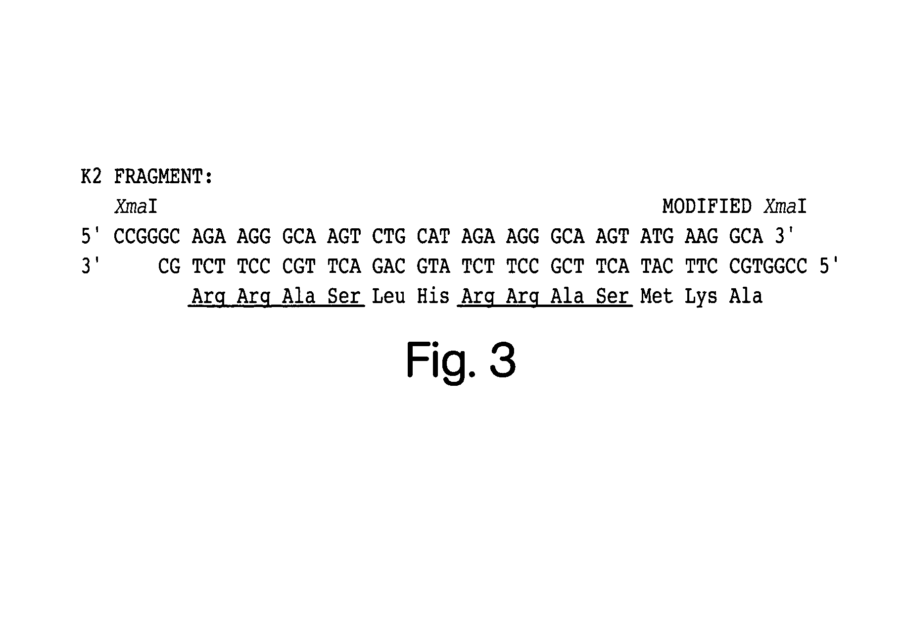 Phosphorylated polypeptides and uses related thereto