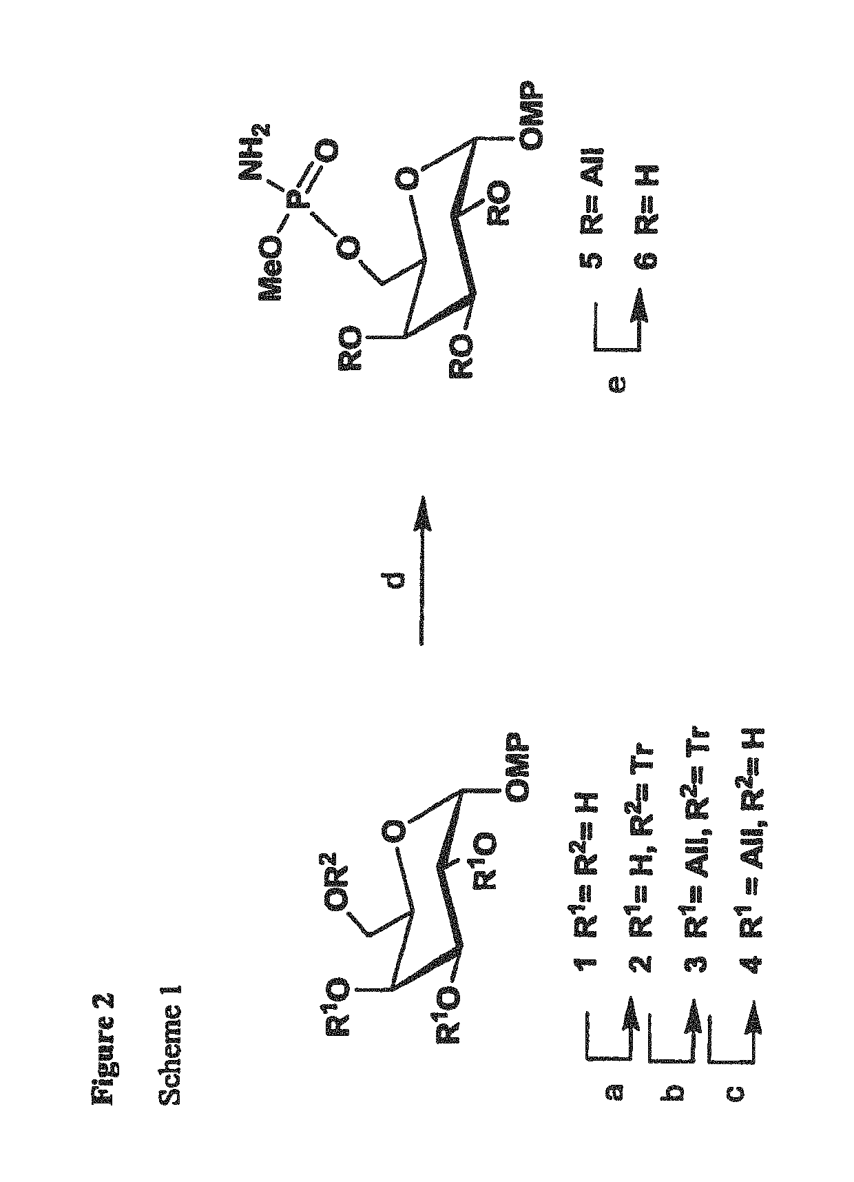 Synthetic antigen constructs against campylobacter jejuni