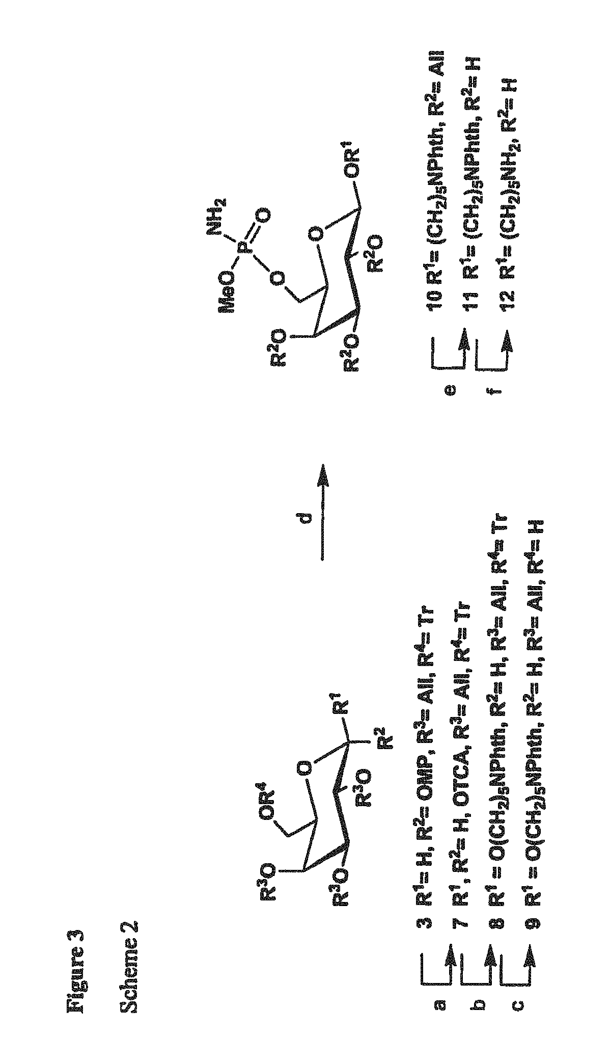 Synthetic antigen constructs against campylobacter jejuni