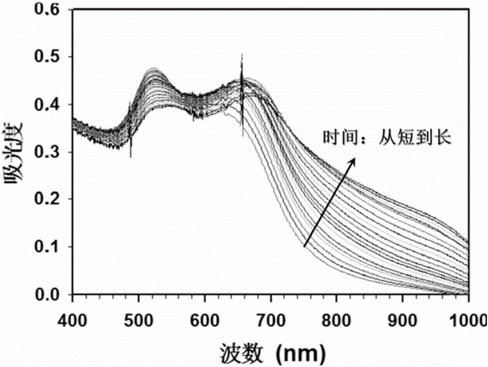 Method for establishing nano particle small polymers by using indoles dyestuff