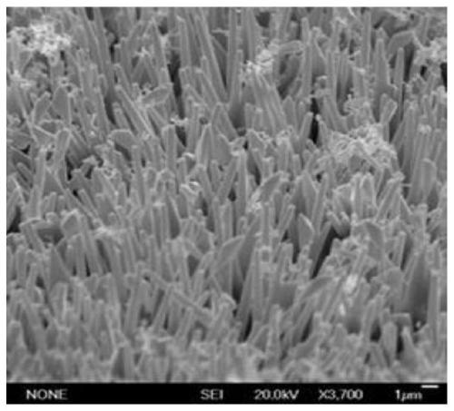 GaN microrod array/graphene field emission cathode composite material preparation method