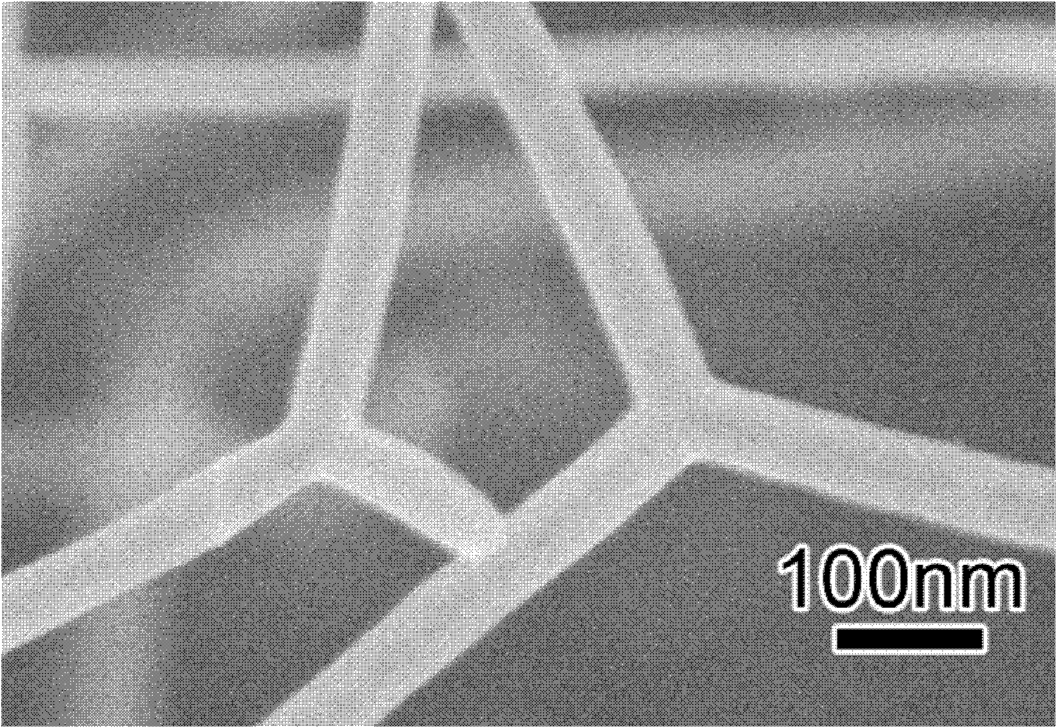 Method for preparing branched carbon nano tube by using dimethyl sulphide as carbon source