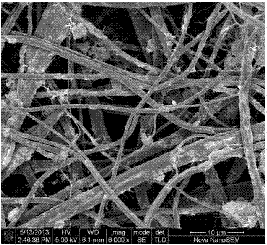 Device and method of preparing electrostatic spinning polymer/inorganic particle nano-composite film