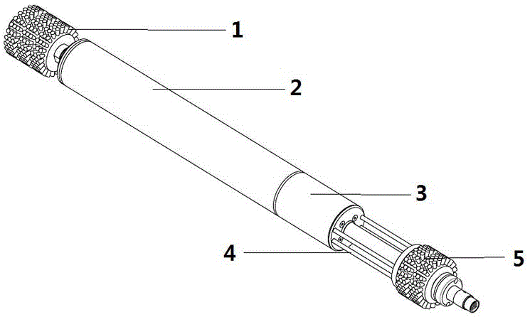 Automatic bore scrubbing device and bore scrubbing system