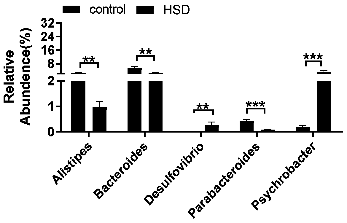 Application of bacteroides fragilis YCH46 in preparation of drugs for treatment or adjuvant treatment of hypertension