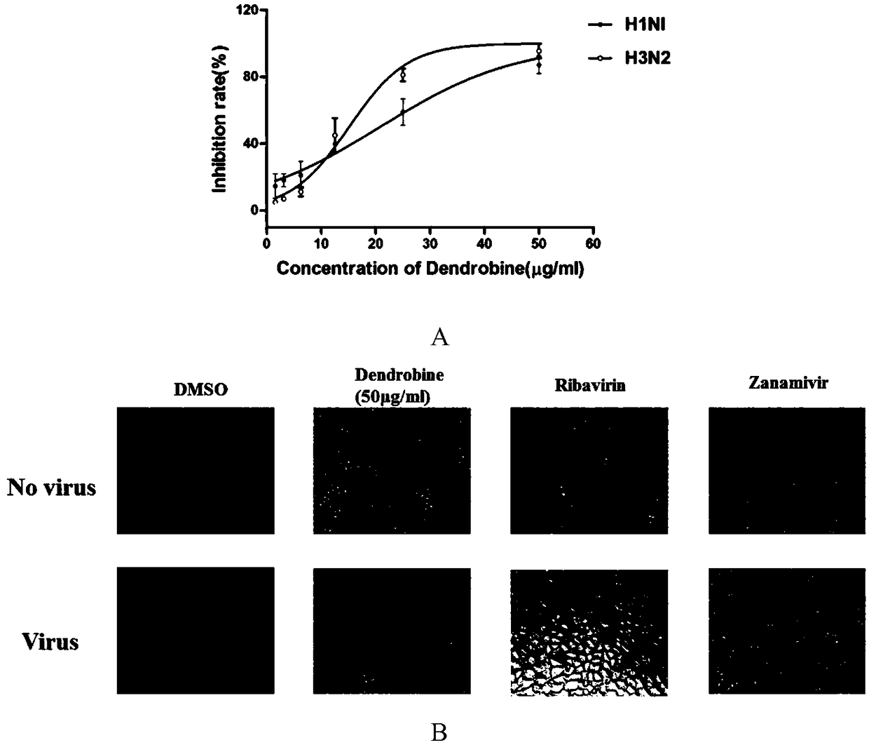 Application of dendrobine in the preparation of anti-influenza virus drugs