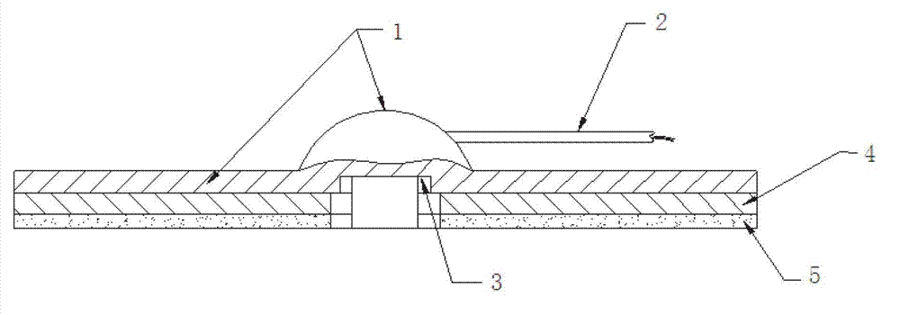 Sticking type medical in-vitro ultrasonic probe