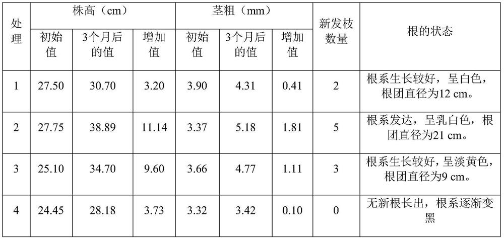 Special concentrated water-soluble fertilizer for blueberries as well as preparation method and application method of special concentrated water-soluble fertilizer