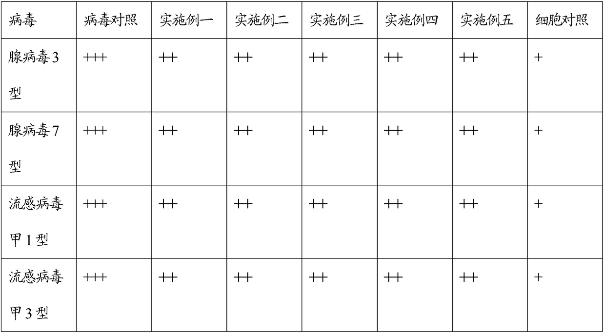 Traditional Chinese medicine composition and application thereof