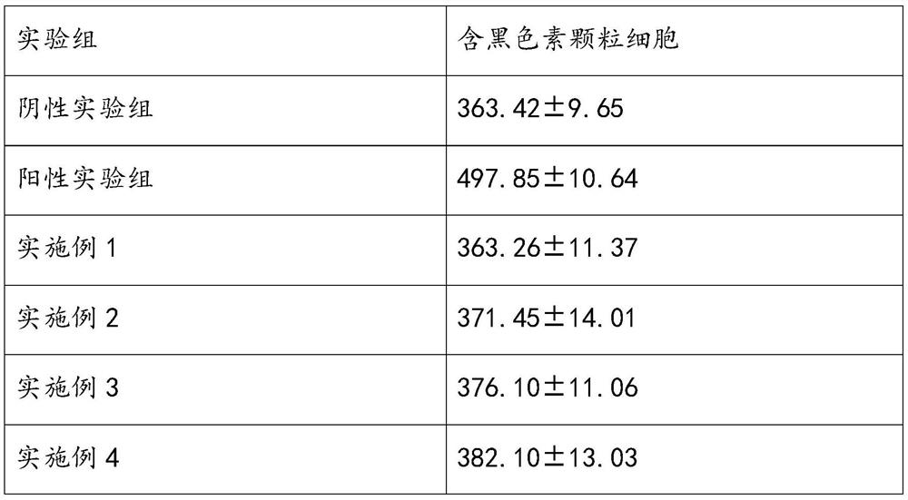 Chlorella facial mask and its preparation method and application