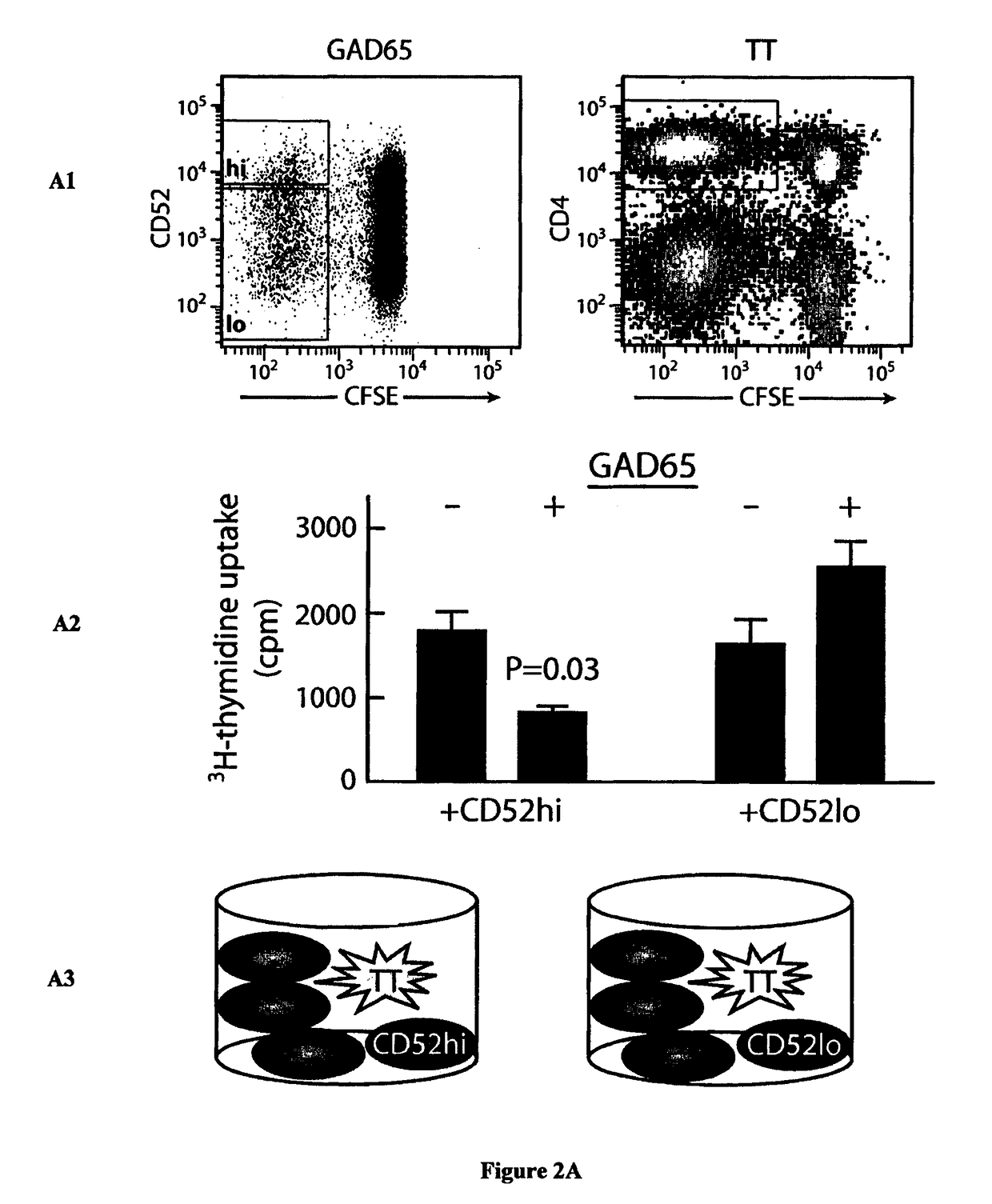 Method of treating sepsis by administering a soluble CD52 glycoprotein