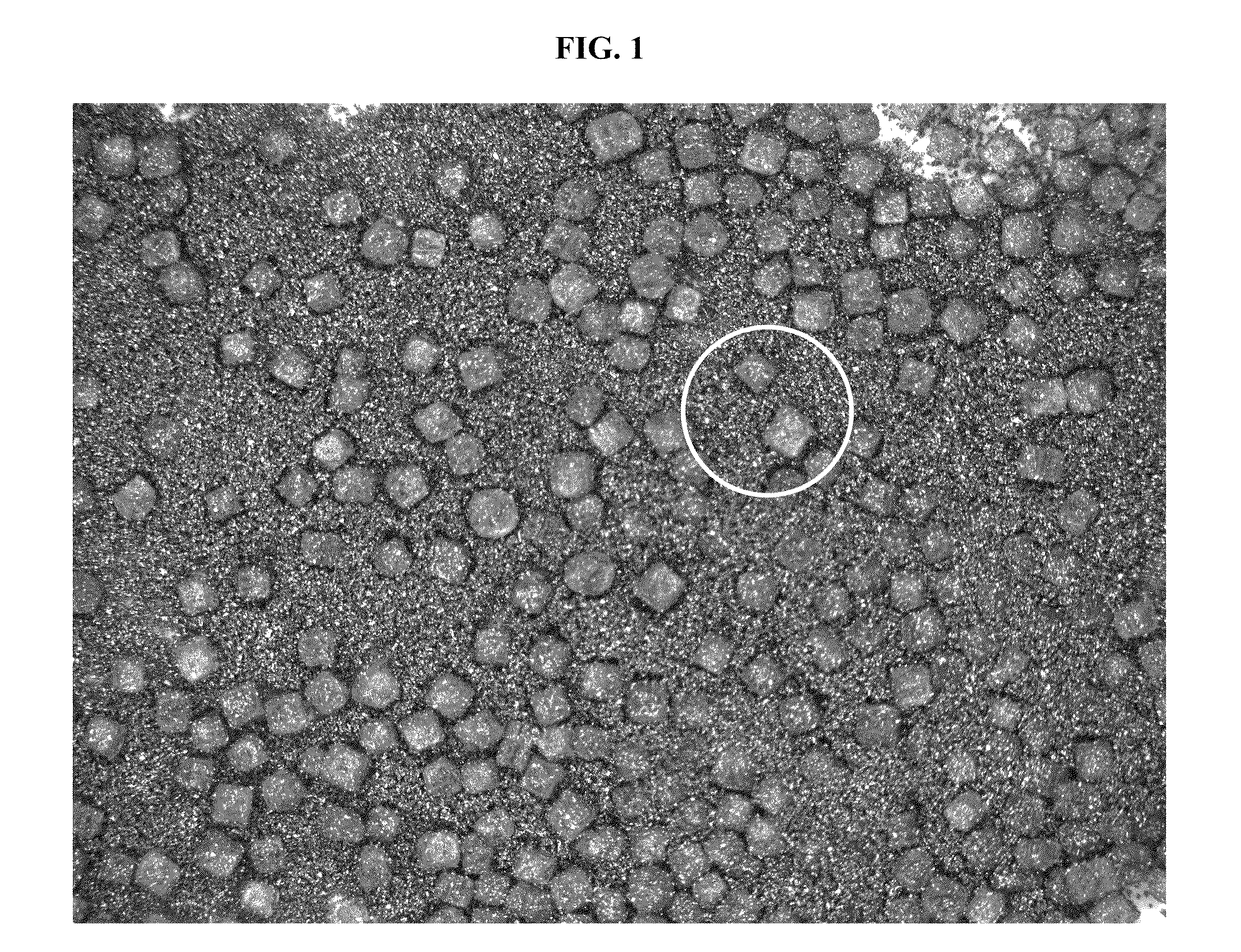 Mixtures For Forming Porous Constructs